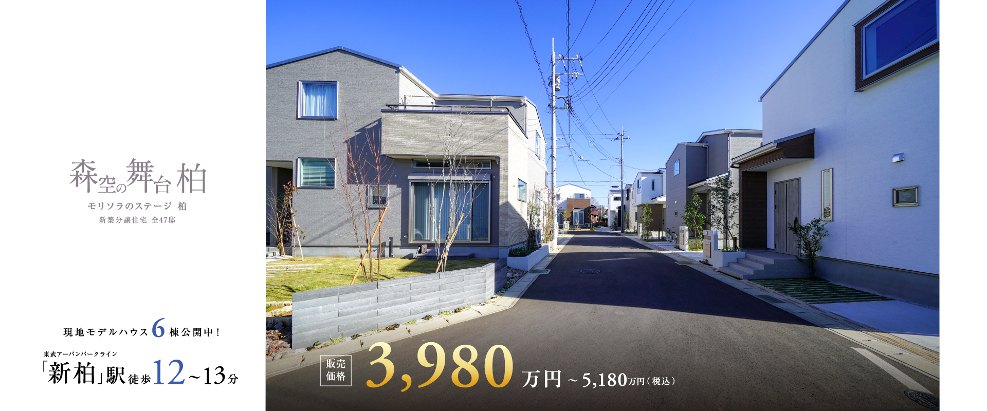 ※現地2023年11月撮影)