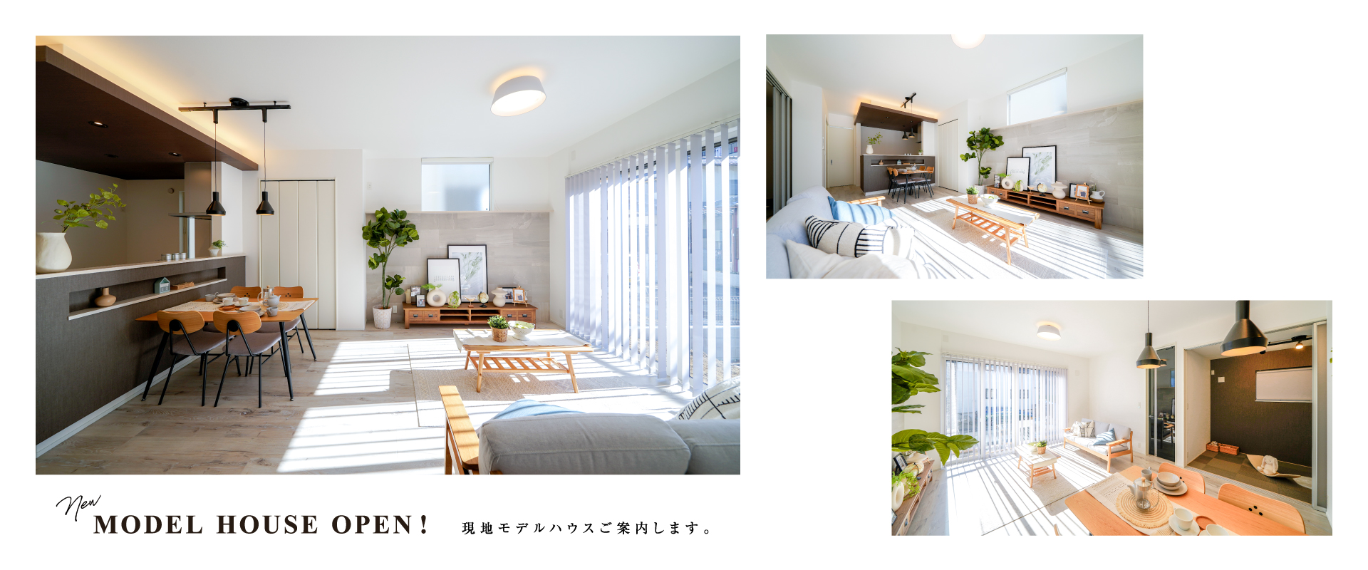 ※PLAN01※2024年11月撮影