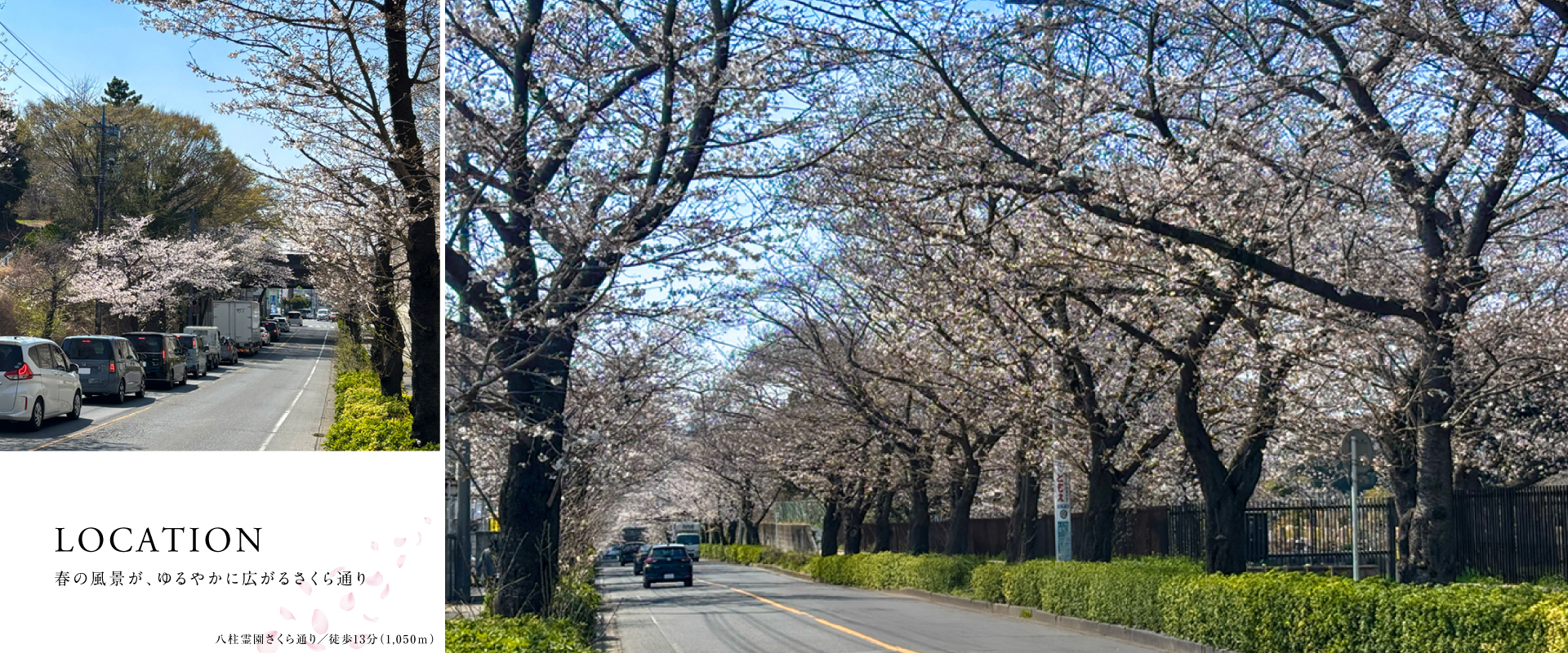 ※2026年3月撮影