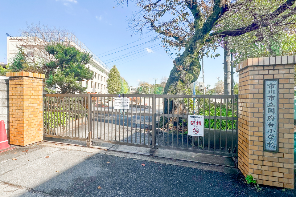 国府台小学校 国府台小学校
