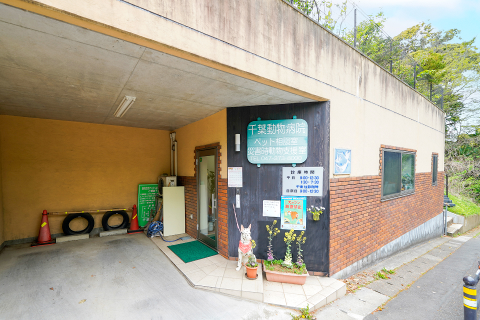 千葉動物病院 千葉動物病院