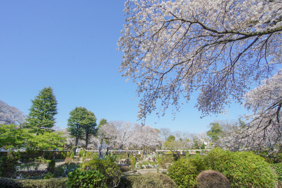 里見公園 里見公園