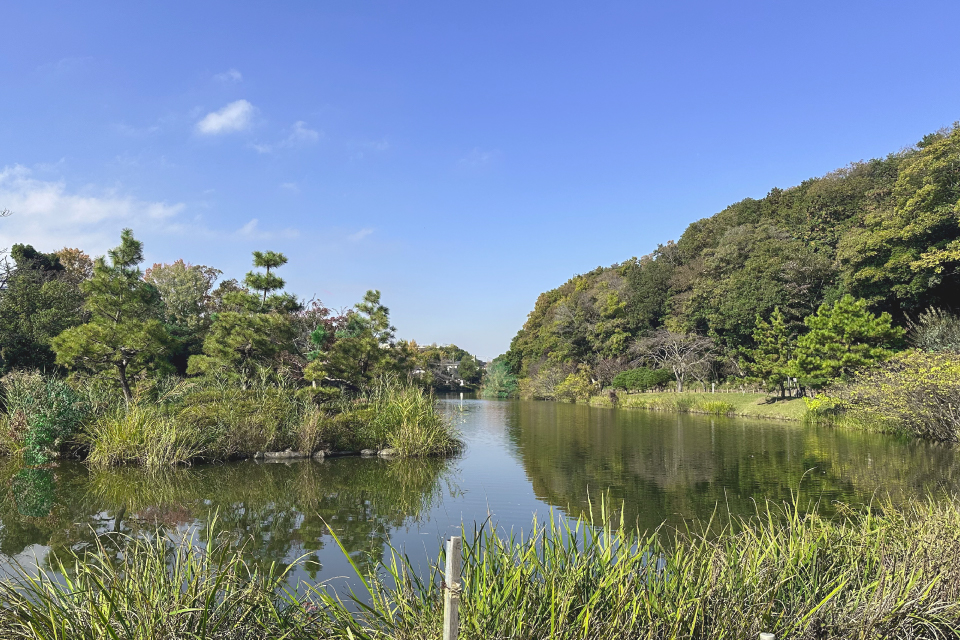 じゅん菜池緑地 じゅん菜池緑地