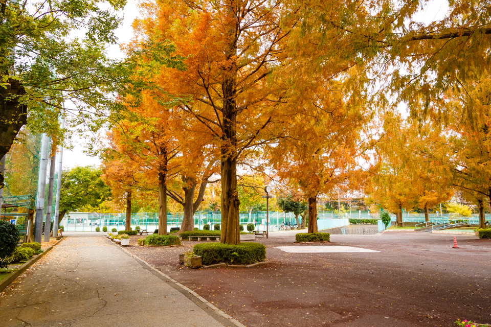 国府台公園 国府台公園
