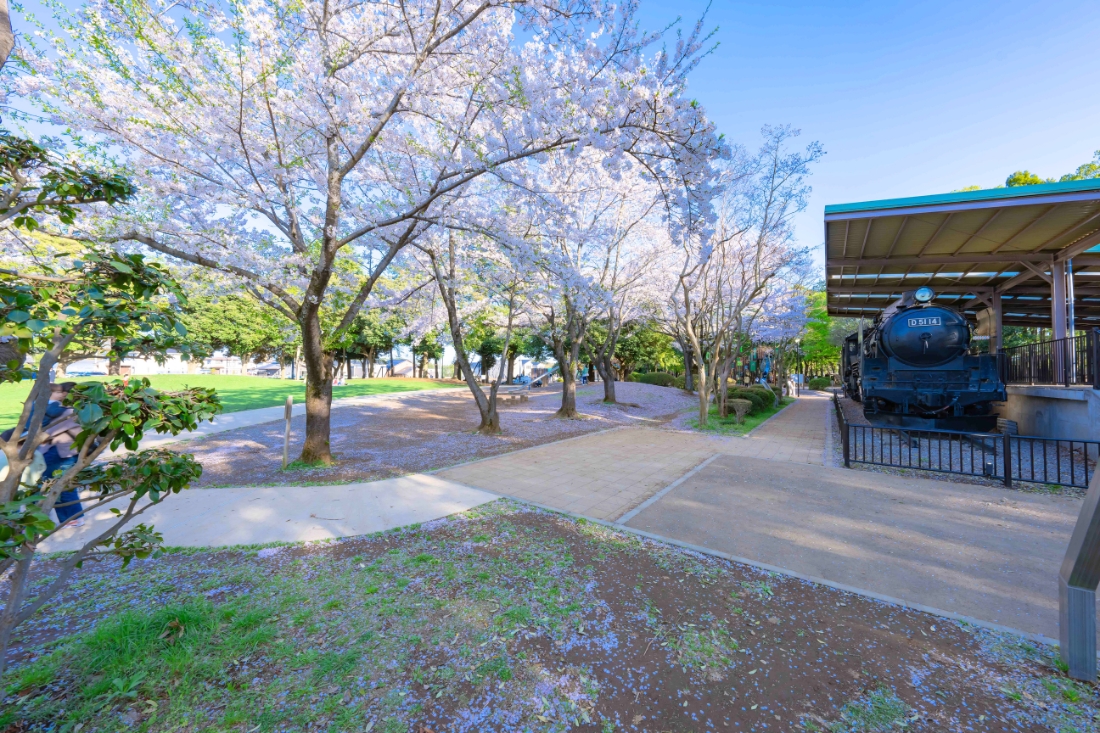 流山市総合運動公園