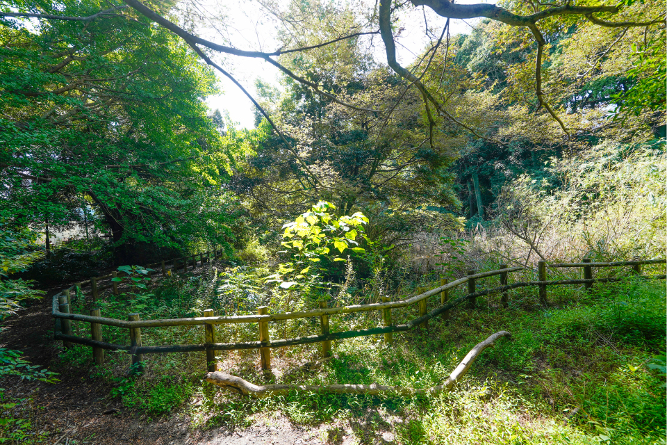 飯山満緑地公園