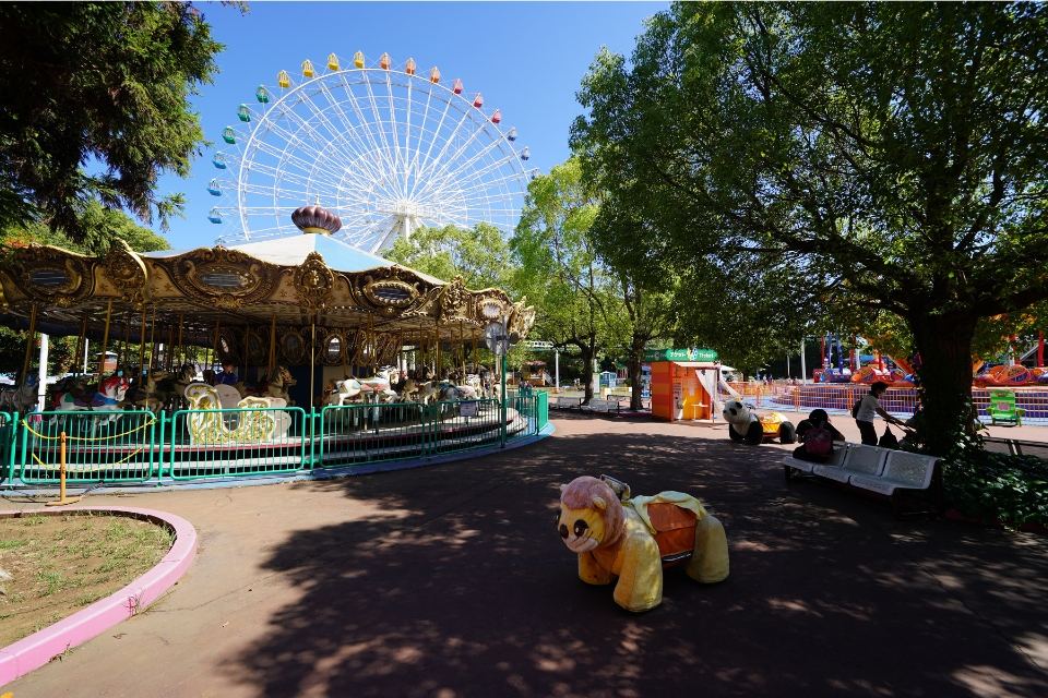 もりのゆうえんち