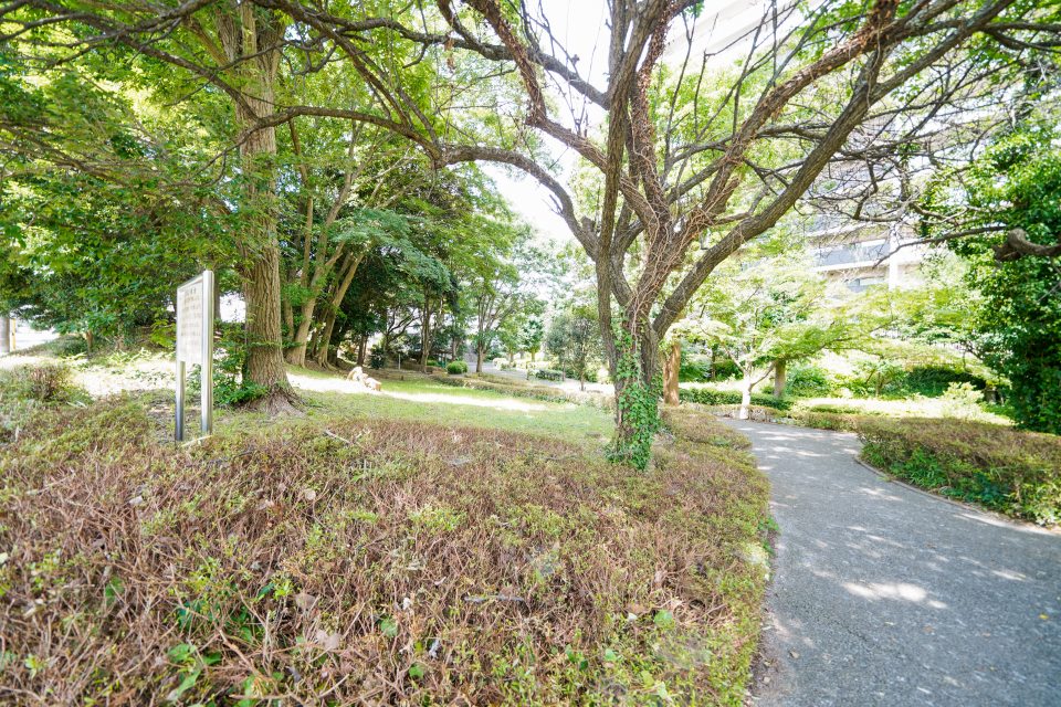 萱田第2緑地 萱田第2緑地