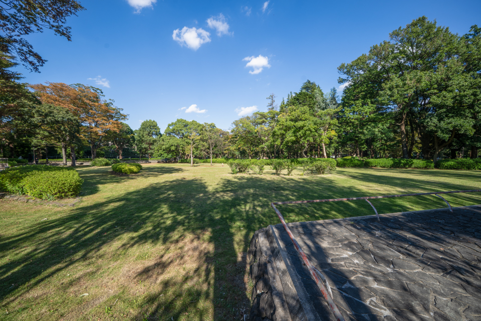 松戸中央公園 松戸中央公園